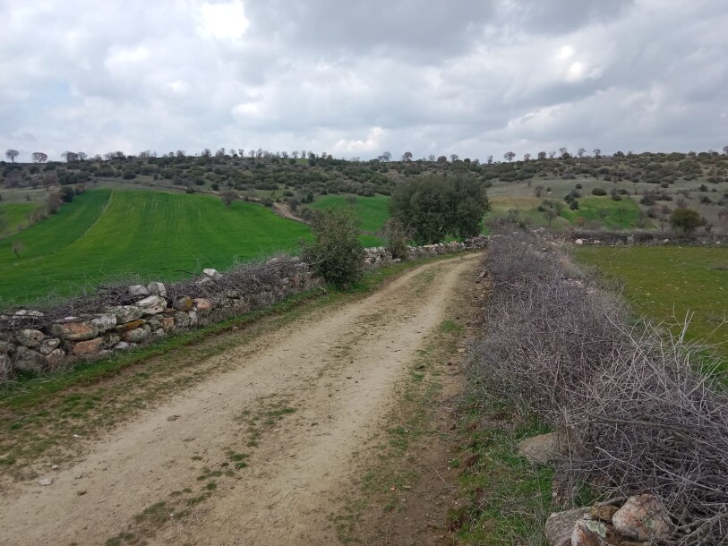 100 thousand chicken farm  Uşak döşkaya-18