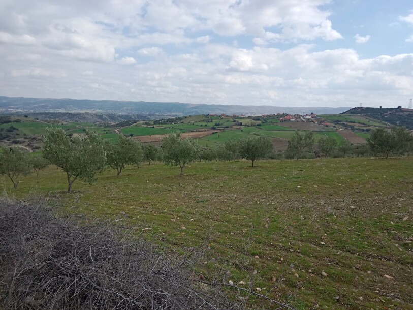 100 thousand chicken farm  Uşak döşkaya-3