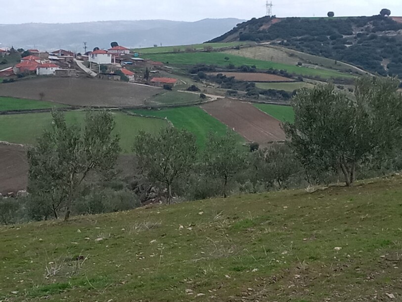 100 thousand chicken farm  Uşak döşkaya-2