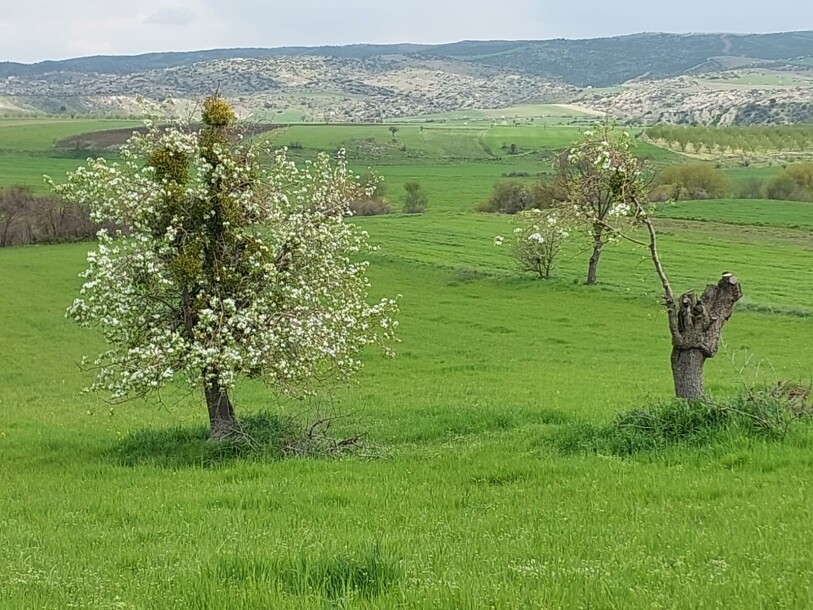 Uşak 190.000 meter land-1